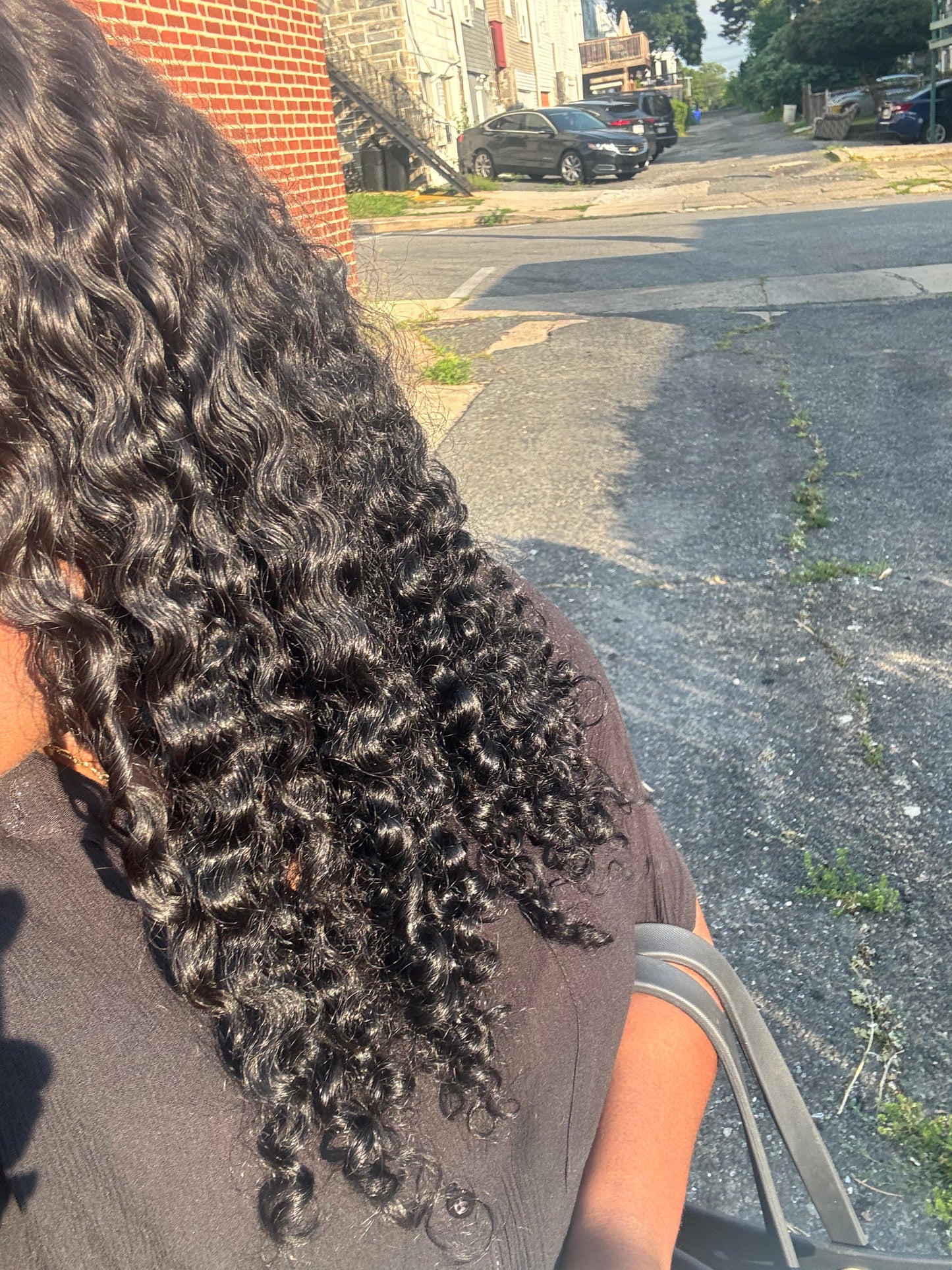Raw Burmese curly
