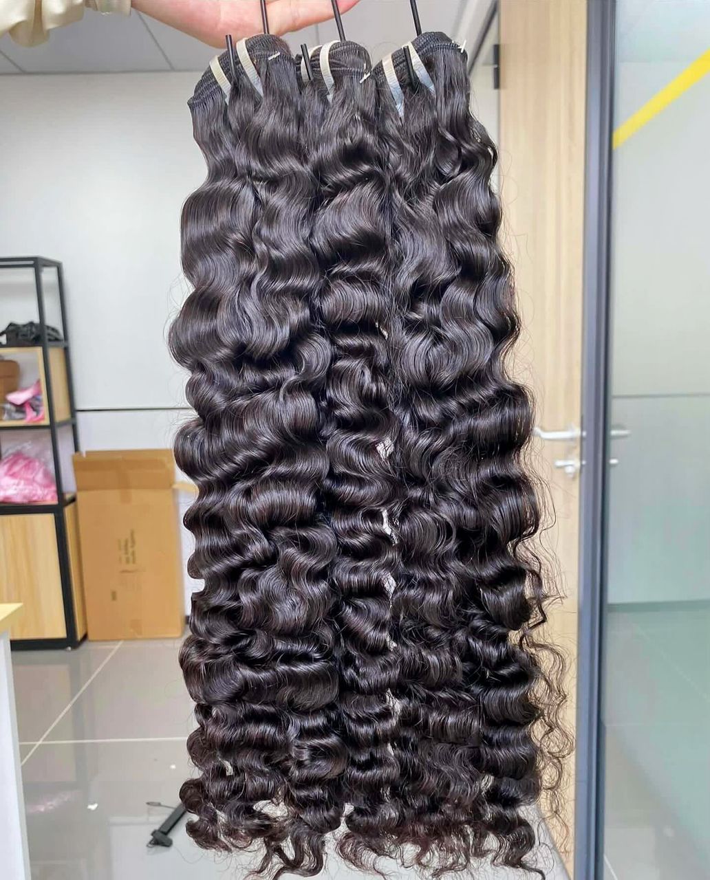 Raw Burmese curly